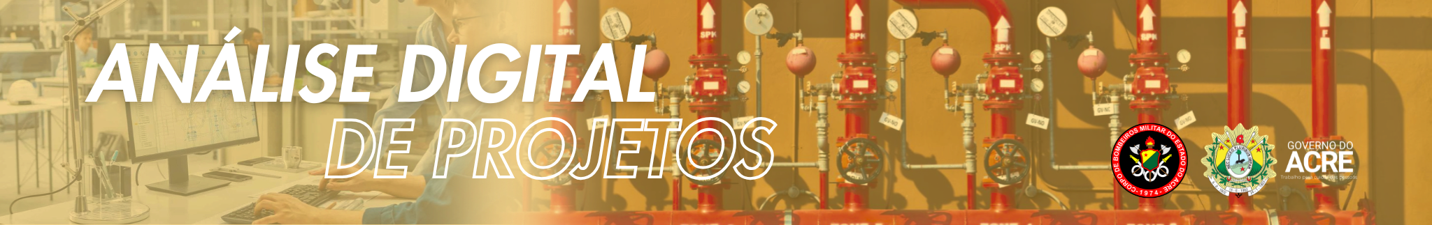 Banner Institucional